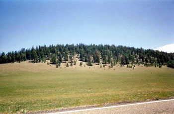 road.to.north.rim.jpg